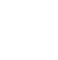 Summer Roots Experience